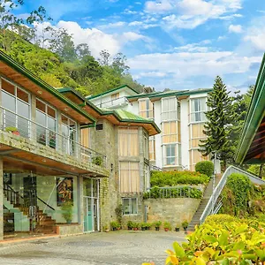 https://oak-ray-summer-hill-breeze.kandyhotelsnow.com