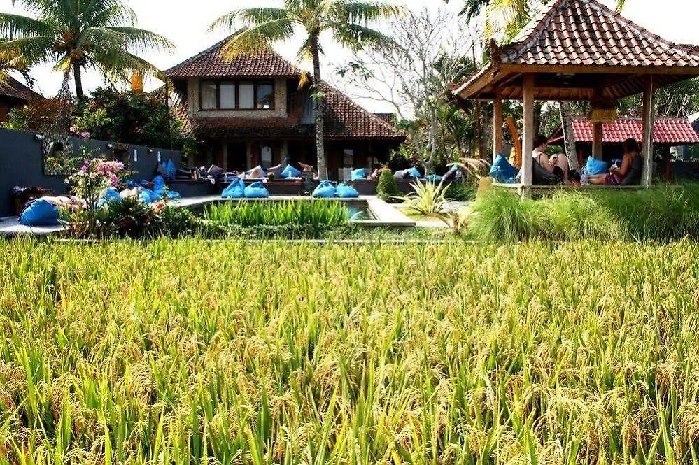 Hostel In Da Lodge Ubud